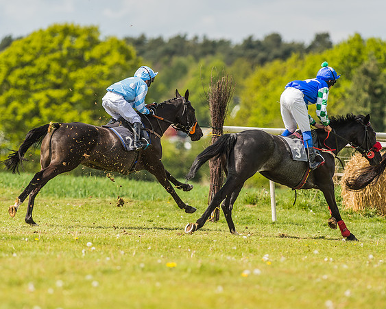 Pony Race 3 - 148cm Open-23