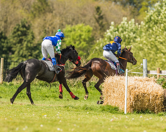 Pony Race 3 - 148cm Open-24