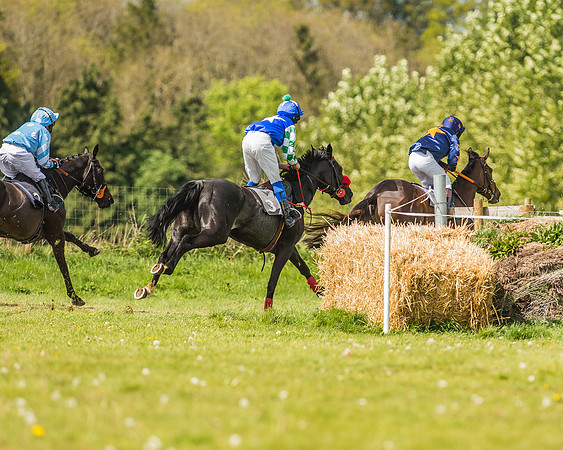 Pony Race 3 - 148cm Open-25