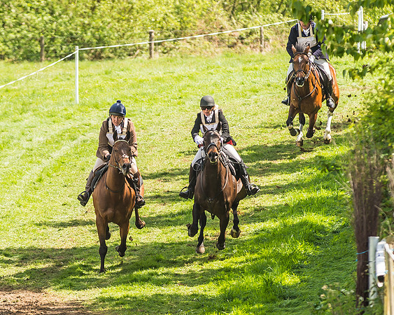 Hunt Scurry