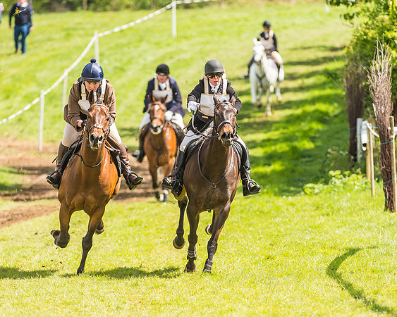 Hunt Scurry