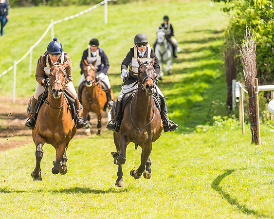 Hunt Scurry