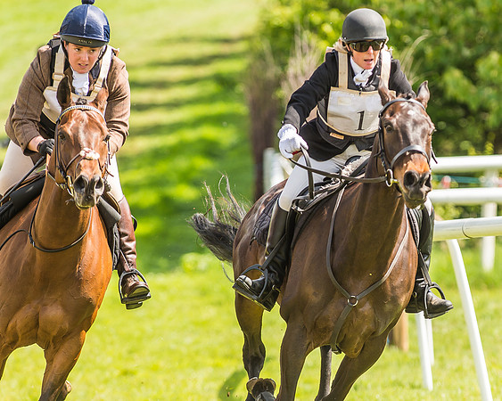 Hunt Scurry