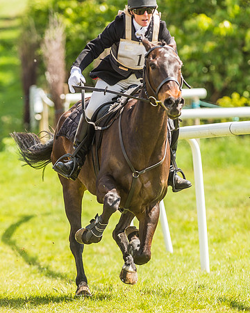 Hunt Scurry