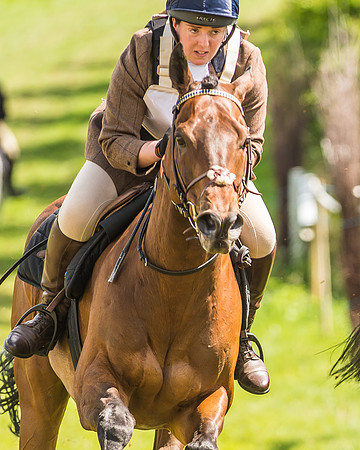 Hunt Scurry