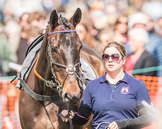 Race 2 - Open Maiden-29