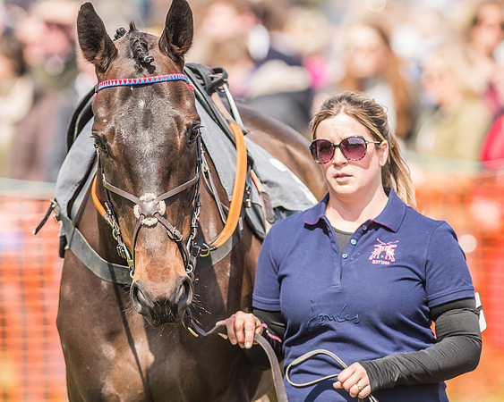 Race 2 - Open Maiden-31