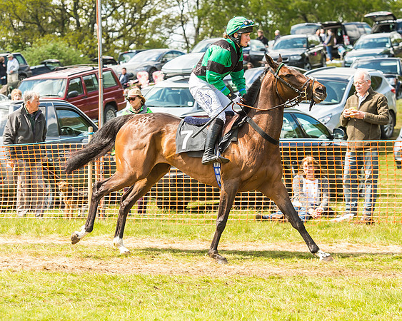 Race 2 - Open Maiden-38