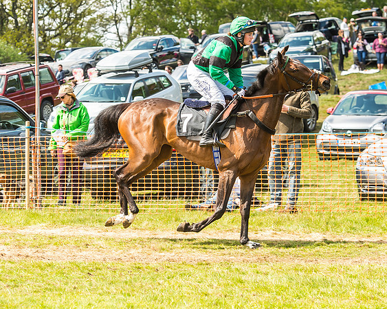 Race 2 - Open Maiden-39
