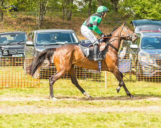 Race 2 - Open Maiden-40
