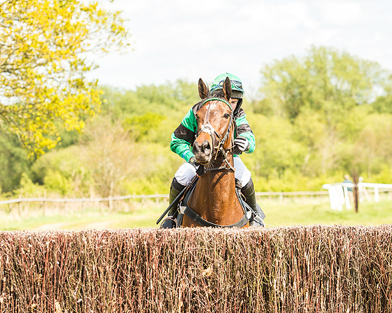 Race 2 - Open Maiden-42