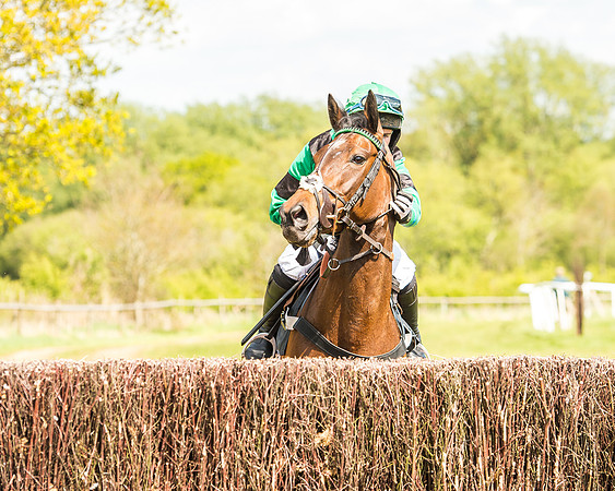 Race 2 - Open Maiden-43