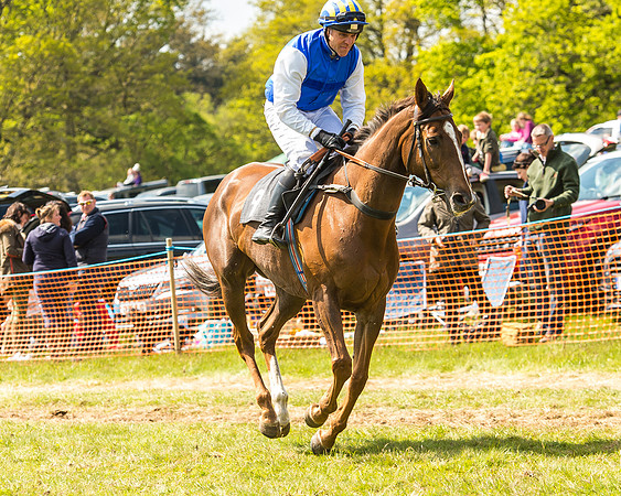 Race 2 - Open Maiden-48