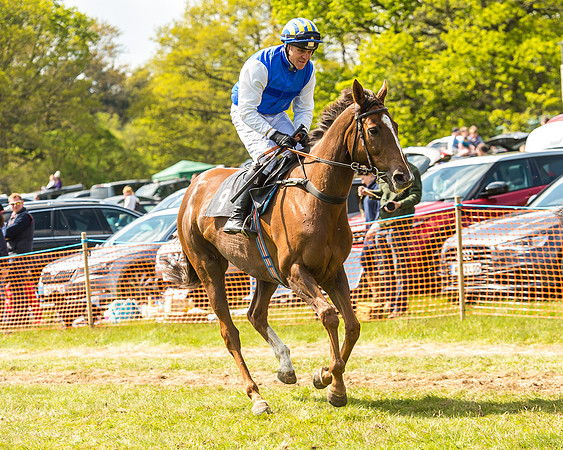 Race 2 - Open Maiden-49