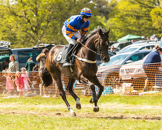 Race 2 - Open Maiden-50