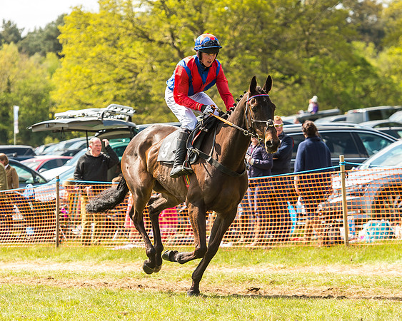 Race 2 - Open Maiden-52