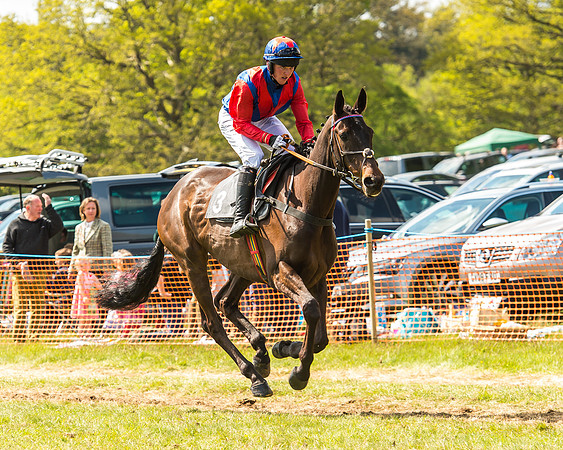 Race 2 - Open Maiden-53