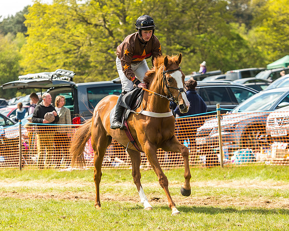 Race 2 - Open Maiden-54