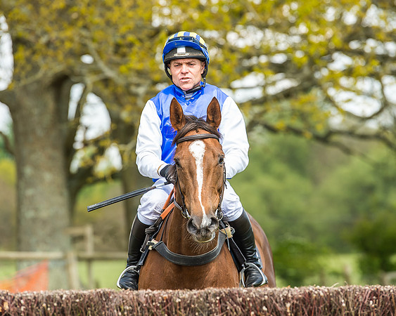 Race 2 - Open Maiden-56