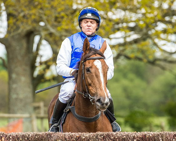 Race 2 - Open Maiden-57