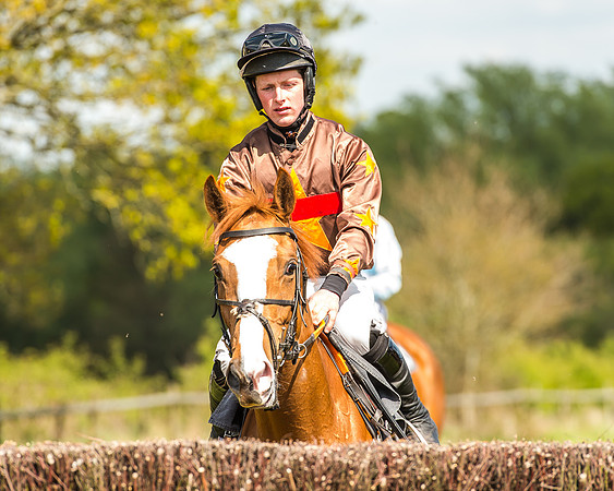 Race 2 - Open Maiden-62
