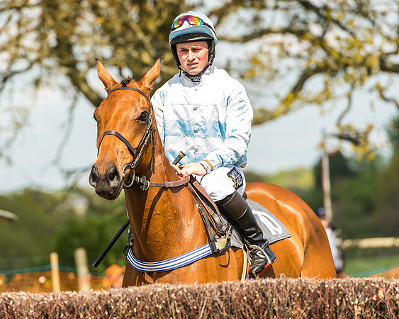 Race 2 - Open Maiden-68