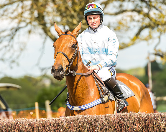 Race 2 - Open Maiden-69