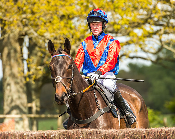 Race 2 - Open Maiden-71