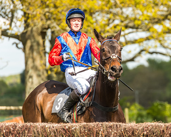 Race 2 - Open Maiden-72