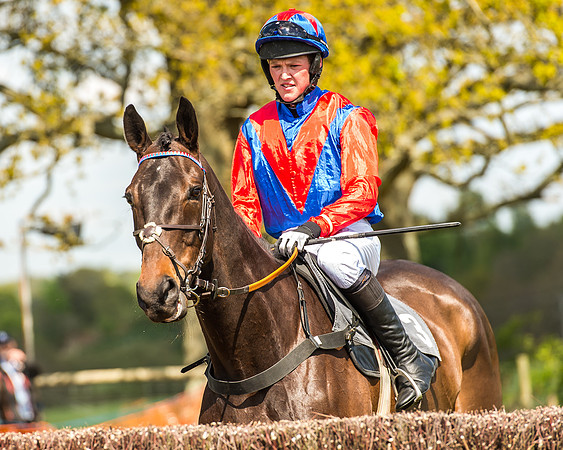 Race 2 - Open Maiden-73