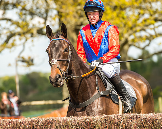 Race 2 - Open Maiden-74