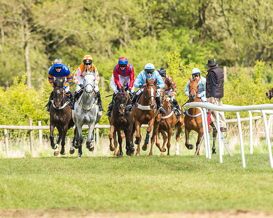 Race 2 - Open Maiden-75