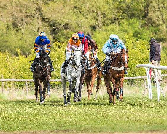 Race 2 - Open Maiden-79