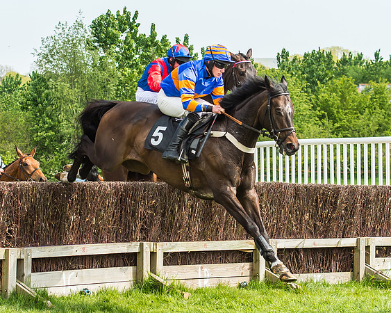 Lake Balaton - Joe Knox