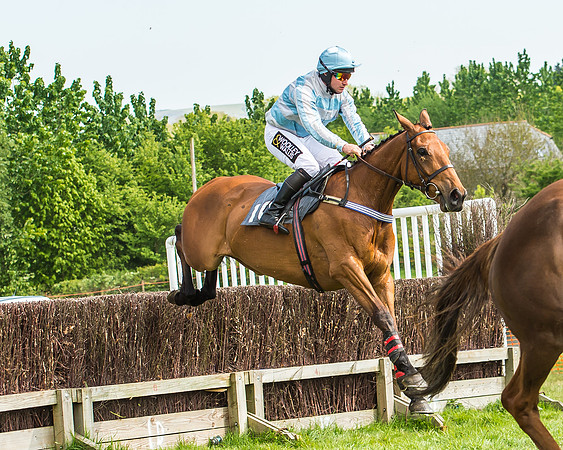 Race 2 - Open Maiden-93