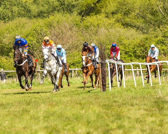 Race 2 - Open Maiden-95