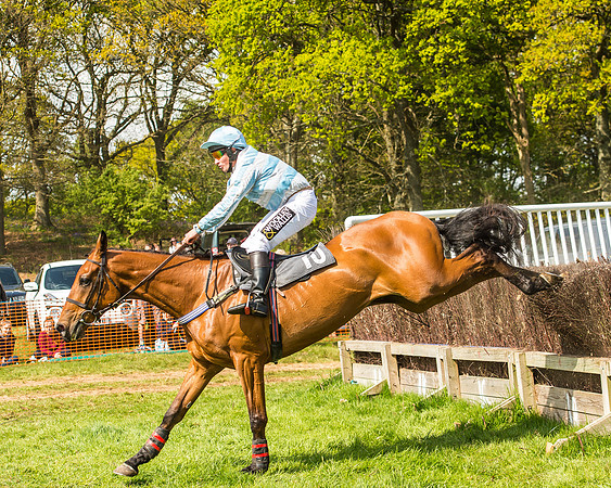 Race 2 - Open Maiden-108