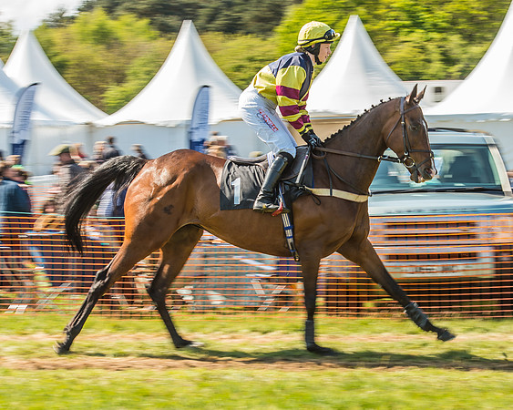 Race 3 - Ladies Open -50