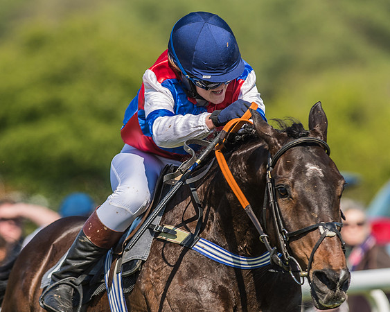 Race 3 - Ladies Open -94