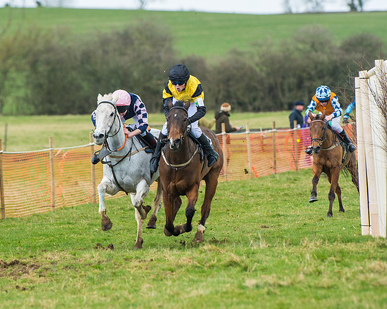 Pony Race 3 (18 of 67)