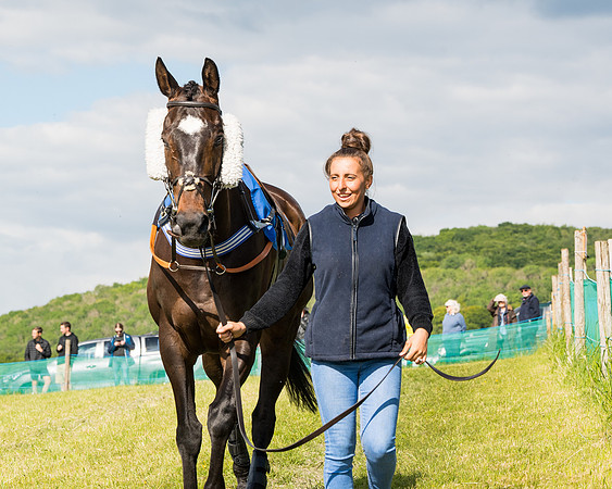 Race 5 - Restricted  (5 of 136)
