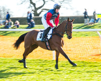 Race 5 - TBA members Mares and Fillies race (12 of 101).jpg