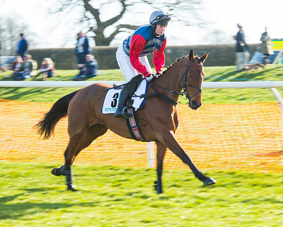 Race 5 - TBA members Mares and Fillies race (12 of 101).jpg