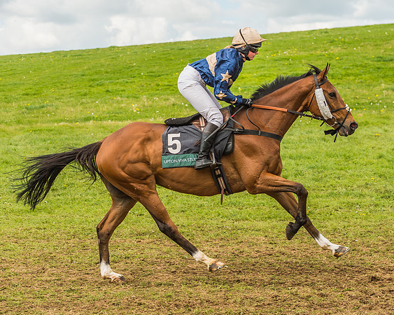 Warwickshire at Mollington
