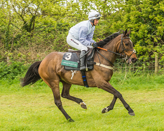Warwickshire at Mollington