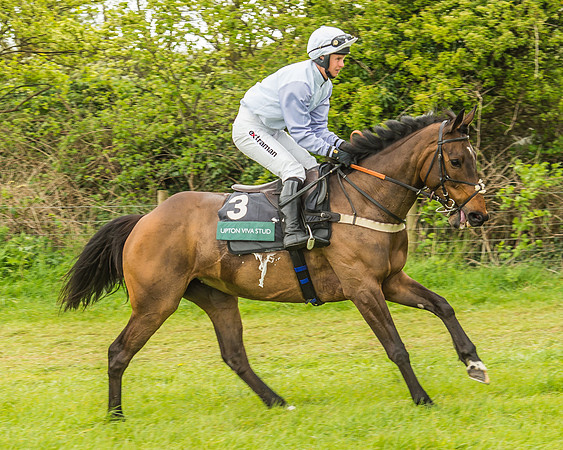 Warwickshire at Mollington