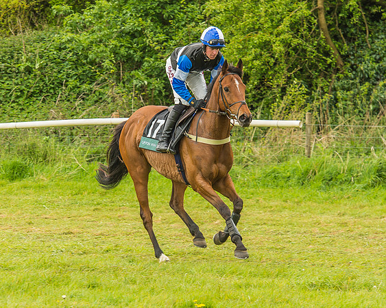 Warwickshire at Mollington