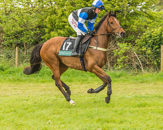Warwickshire at Mollington