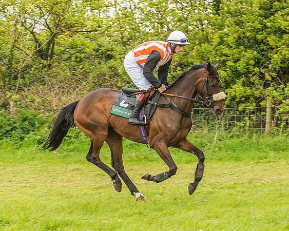Warwickshire at Mollington