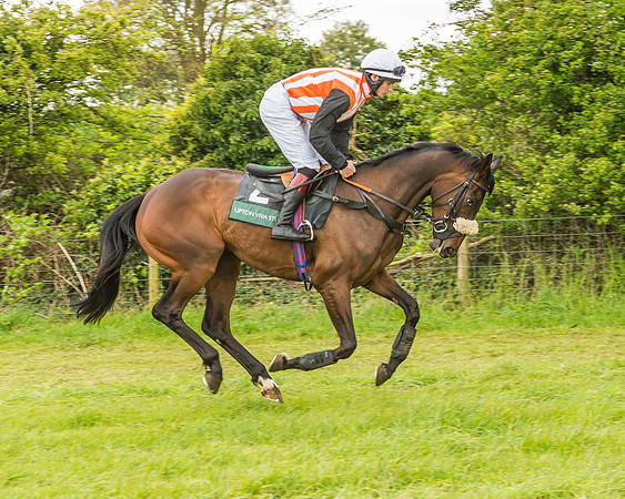 Warwickshire at Mollington